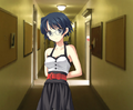 Shizune's casual clothes.